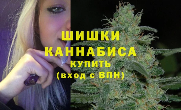 дживик Осинники