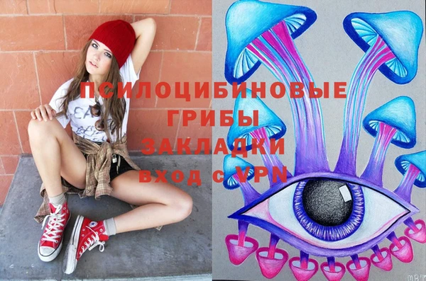 дживик Осинники