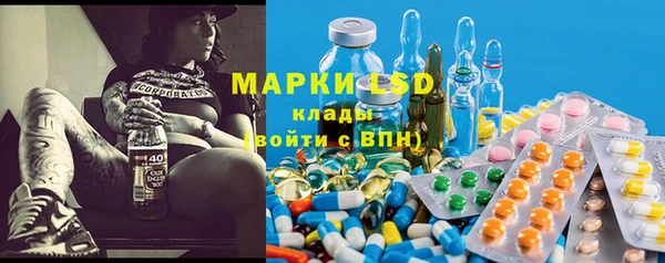 Альфа ПВП Гвардейск