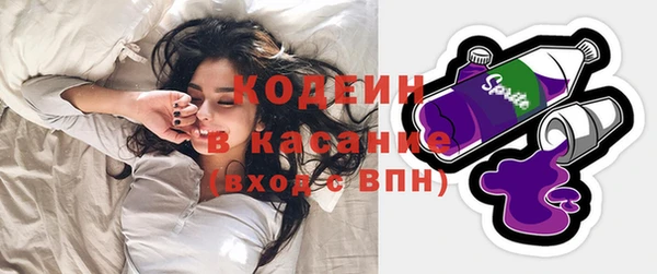 дживик Осинники