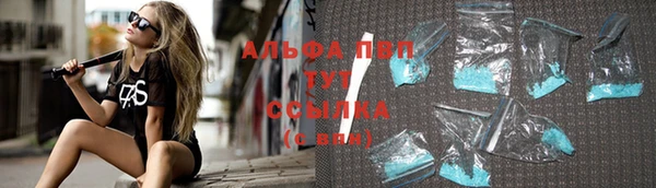 дживик Осинники