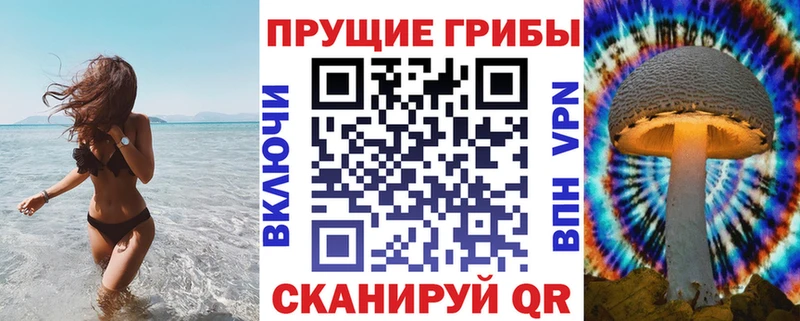 купить  цена  Реж  Галлюциногенные грибы Psilocybe 